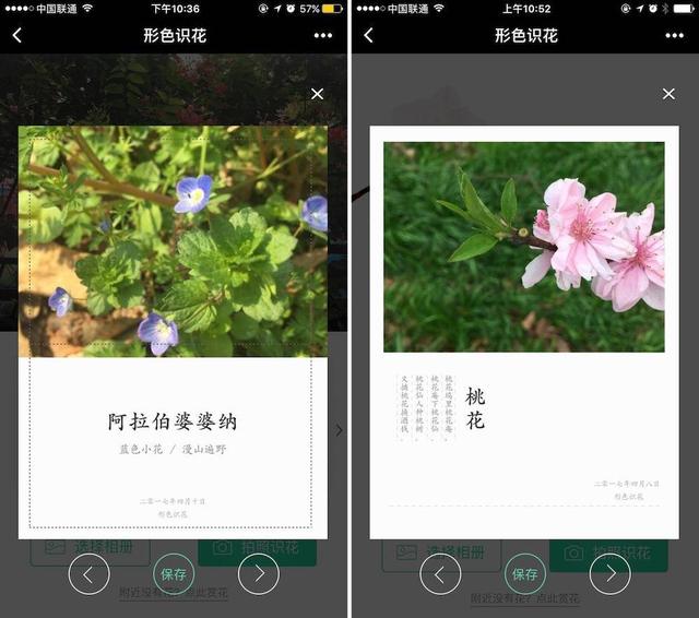 形色识花小程序 形色识花小程序
